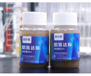 生化系統(tǒng)崩潰，氨氮超標，我該怎么辦?